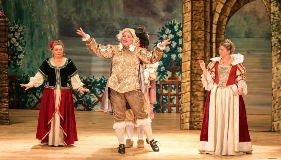 Мюзикл «Собака на сене»