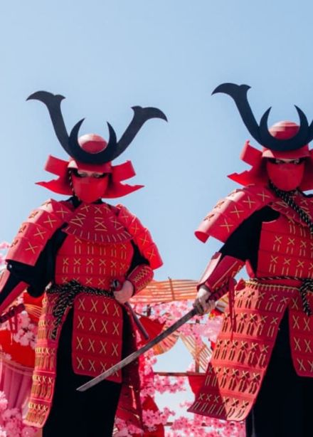 Фестиваль сакуры